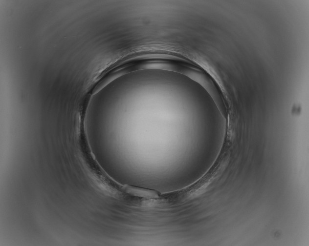 X0000091580109200708201216