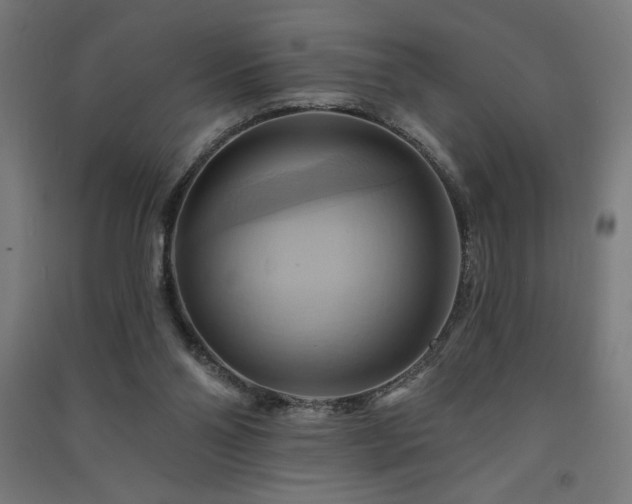X0000091580110200708201216