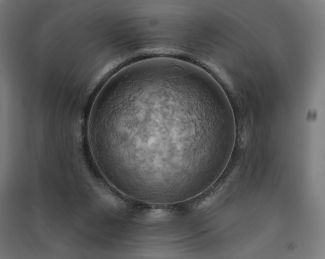 X0000091580111200708201216