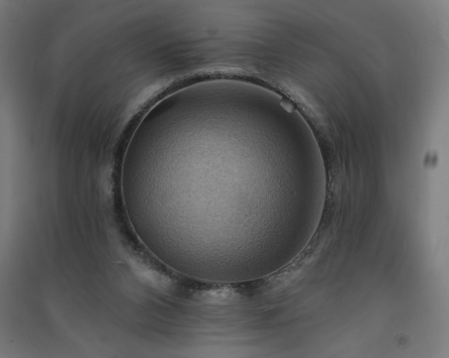 X0000091580112200708201216