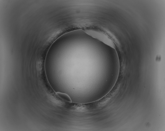 X0000091580113200708201216
