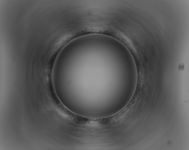 X0000091580114200708201216