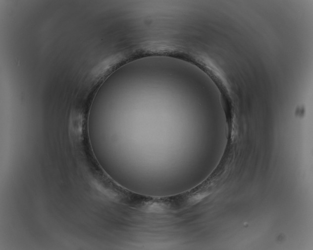 X0000091580115200708201216
