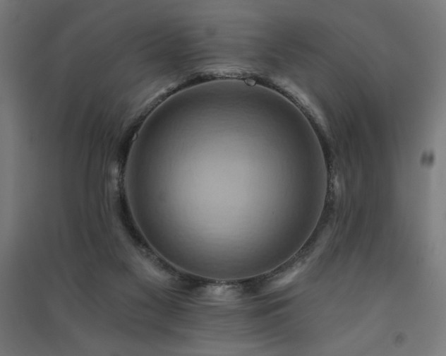 X0000091580117200708201216