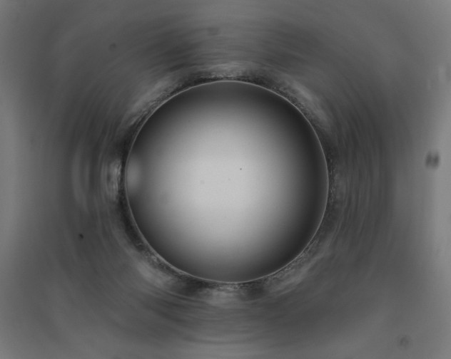 X0000091580118200708201216