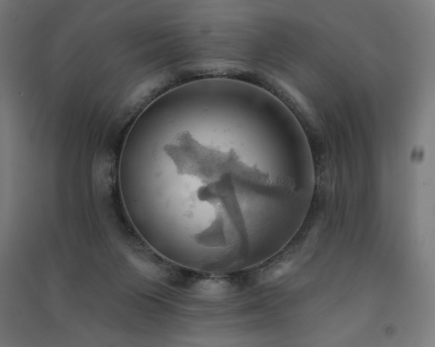 X0000091580119200708201216