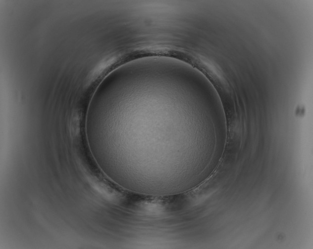 X0000091580120200708201216