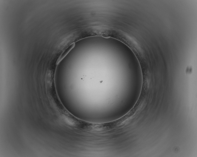 X0000091580121200708201216