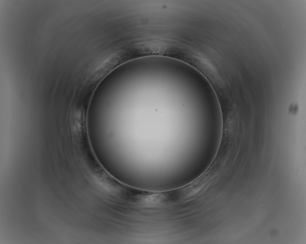 X0000091580122200708201216