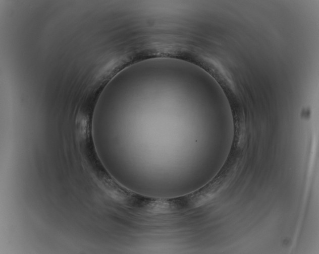 X0000091580123200708201216