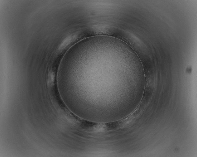 X0000091580124200708201216