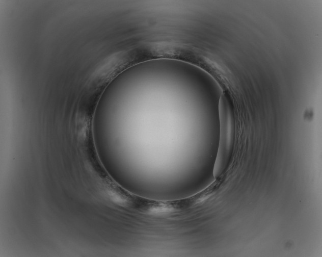 X0000091580125200708201216