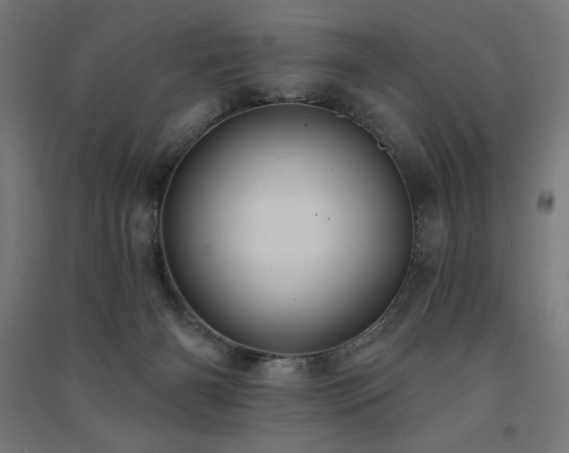 X0000091580126200708201216