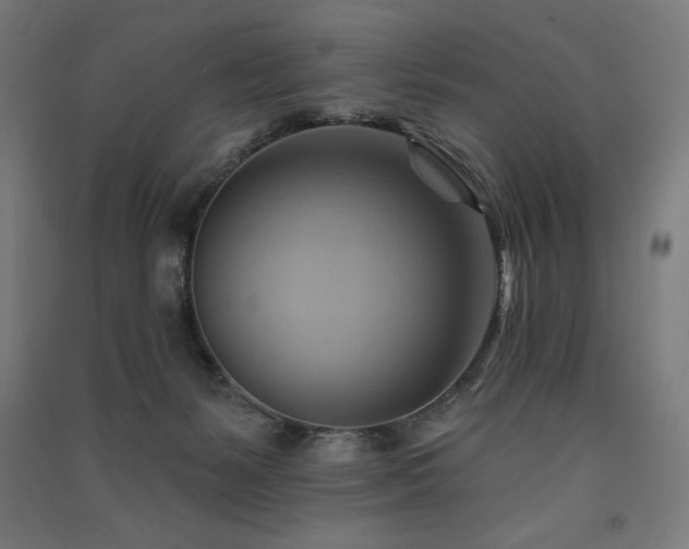 X0000091580127200708201216