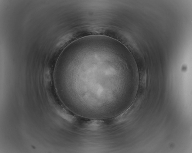X0000091580128200708201216