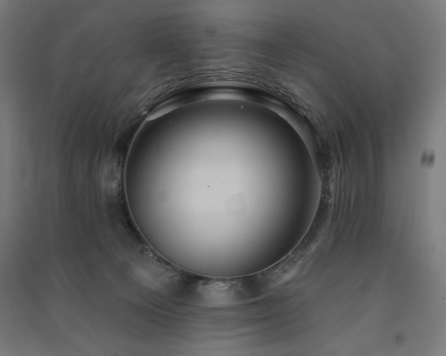 X0000091580129200708201216
