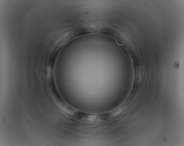 X0000091580130200708201216
