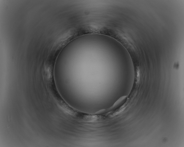 X0000091580131200708201216