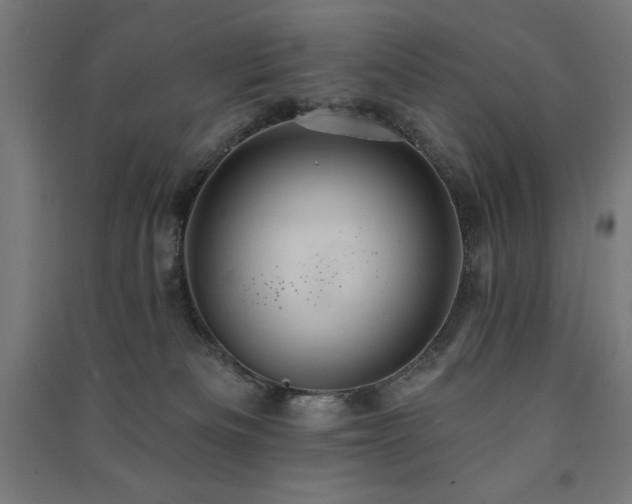X0000091580133200708201216