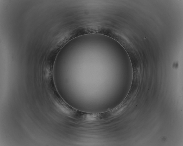 X0000091580134200708201216