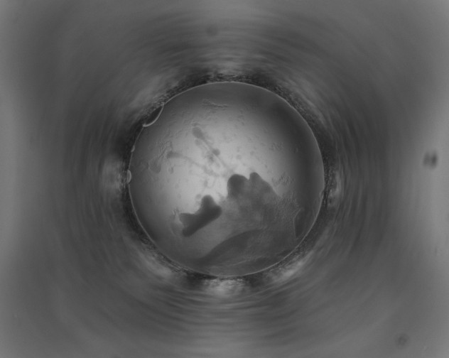 X0000091580135200708201216