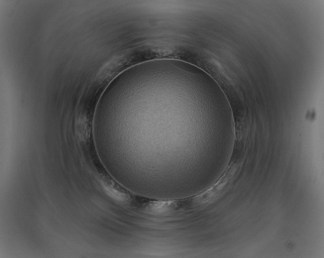 X0000091580136200708201216