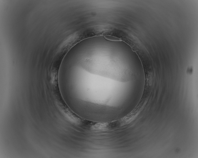 X0000091580138200708201216