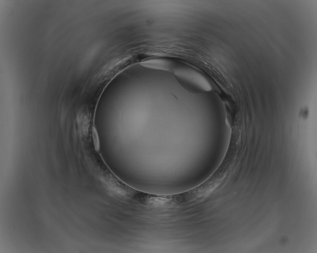 X0000091580139200708201216