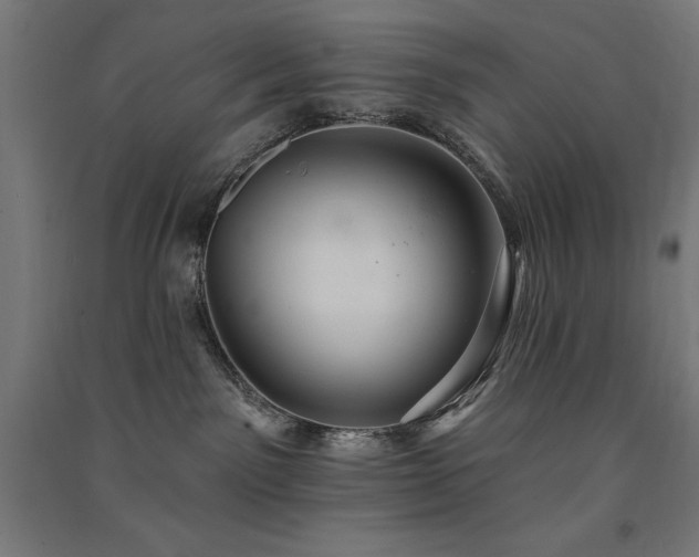 X0000091580141200708201216