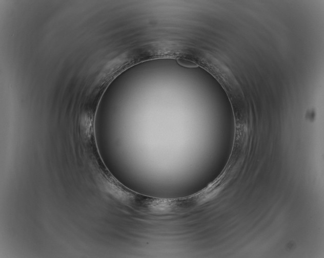 X0000091580142200708201216