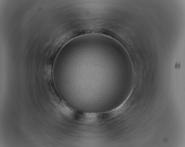 X0000091580144200708201216