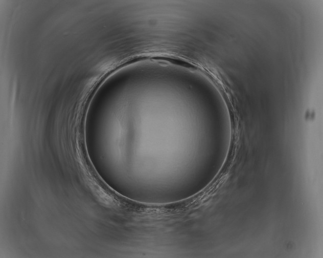 X0000091580145200708201215