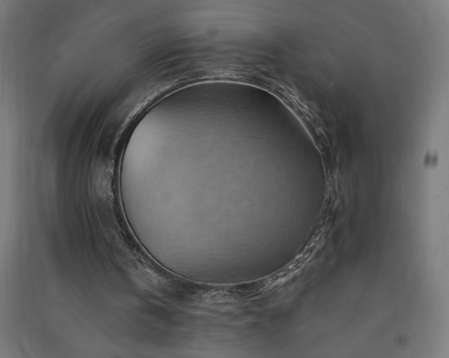 X0000091580146200708201215