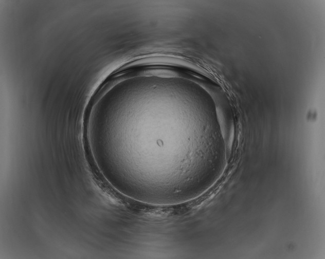 X0000091580148200708201215