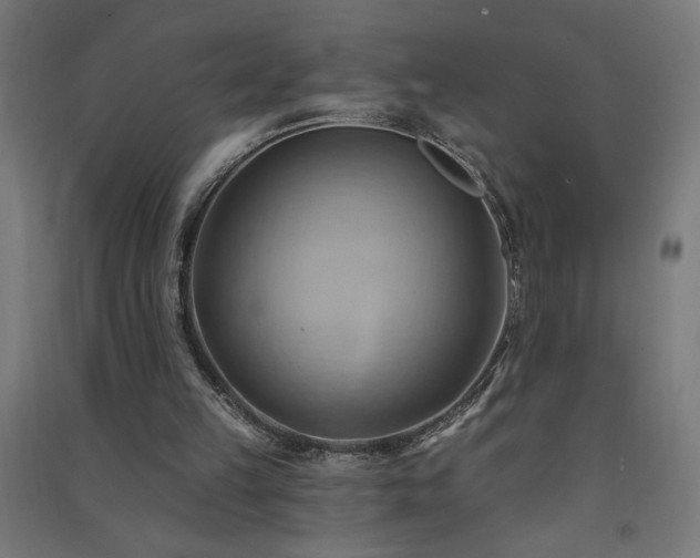 X0000091580149200708201215