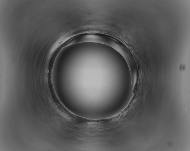 X0000091580150200708201215
