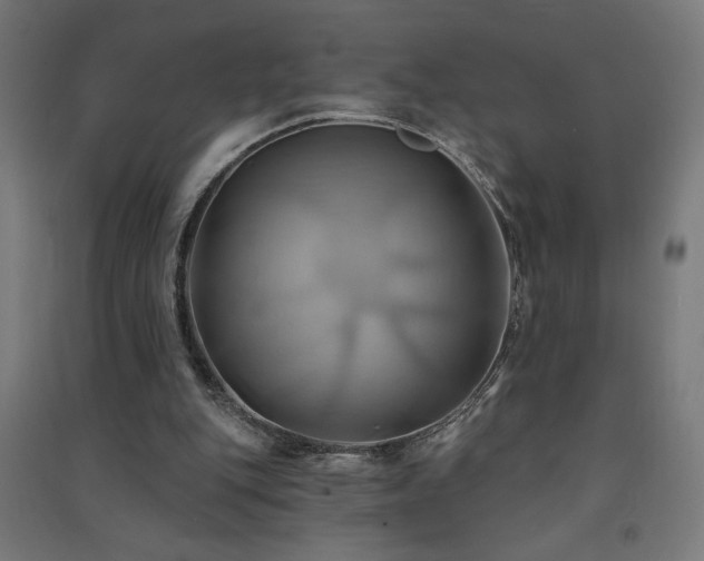 X0000091580151200708201215