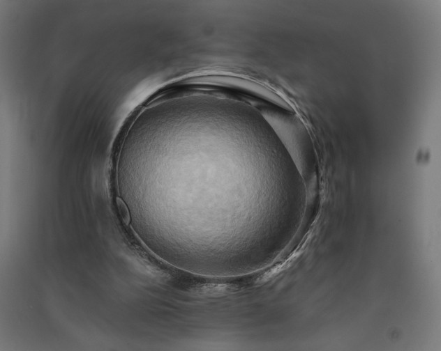 X0000091580152200708201215