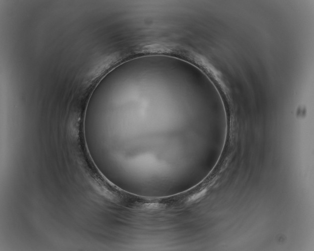 X0000091580153200708201215