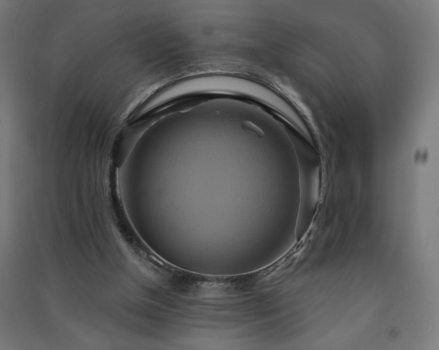 X0000091580154200708201215