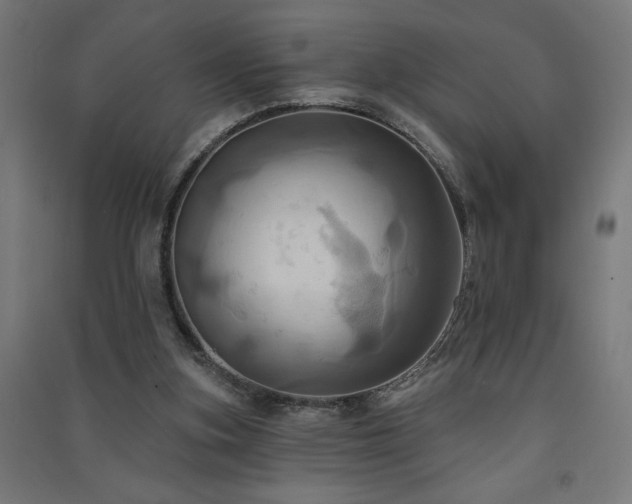 X0000091580155200708201215