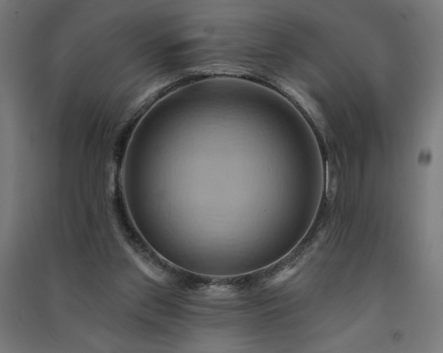 X0000091580157200708201215