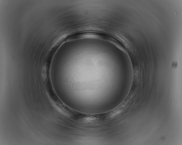 X0000091580158200708201215
