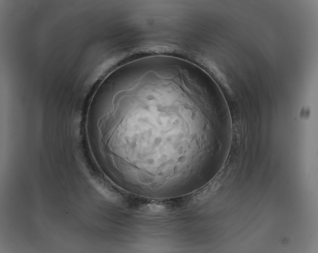 X0000091580159200708201215