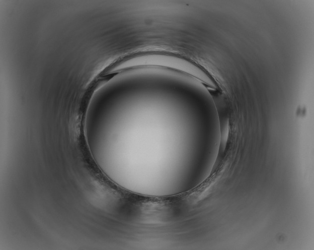 X0000091580160200708201215