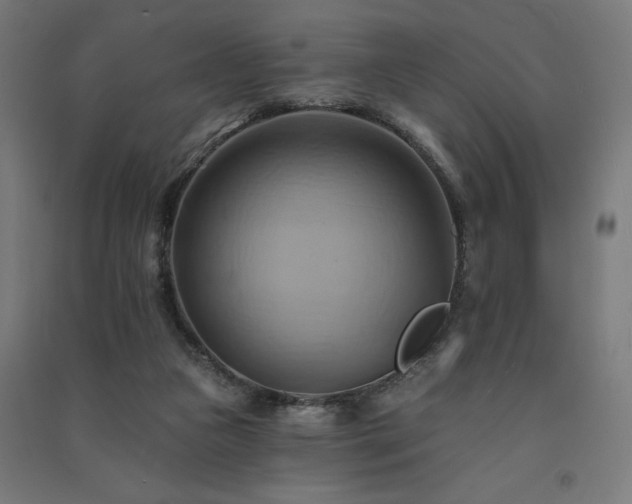 X0000091580161200708201215