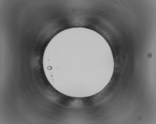 X0000091580162200708201215