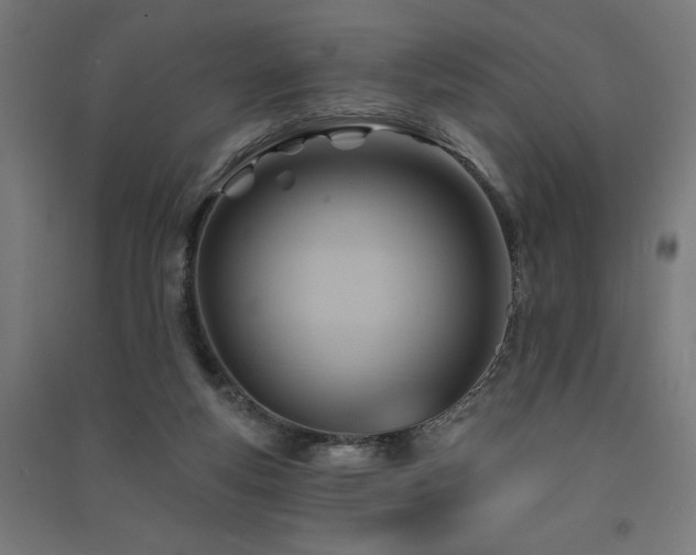 X0000091580163200708201215