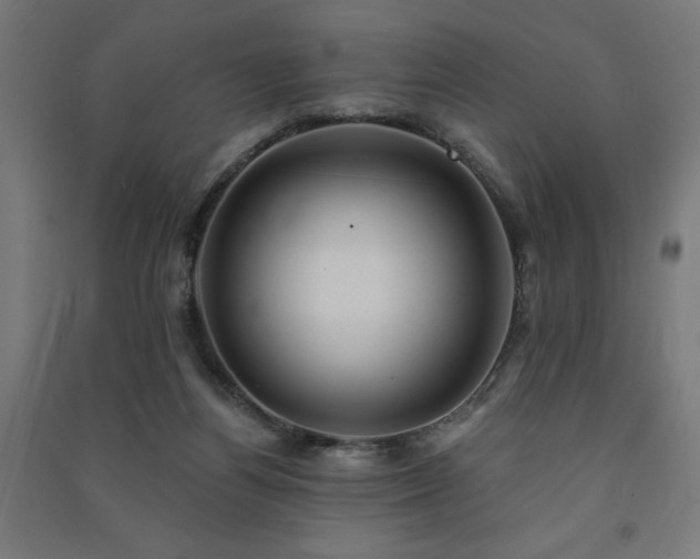 X0000091580164200708201216