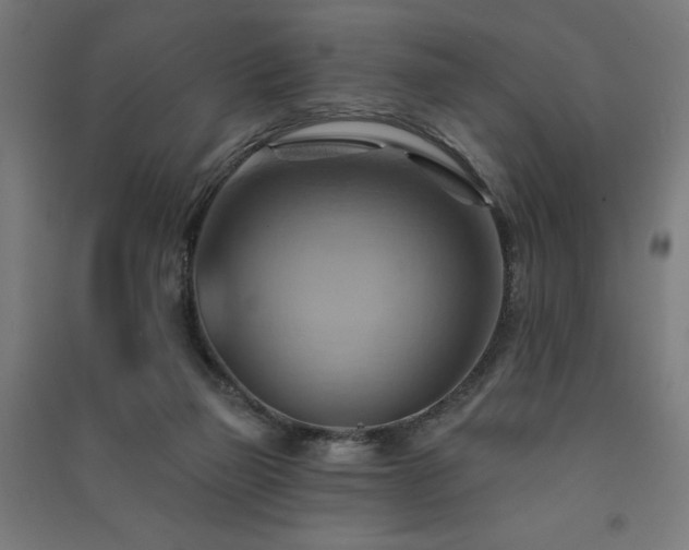 X0000091580165200708201216